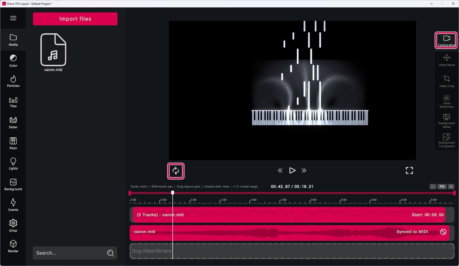 The Camera Move tool and the reset button